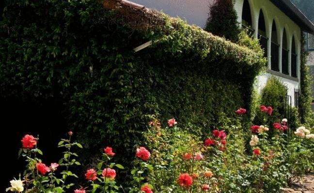 Spanish Villa Inn Сент-Хелина Экстерьер фото