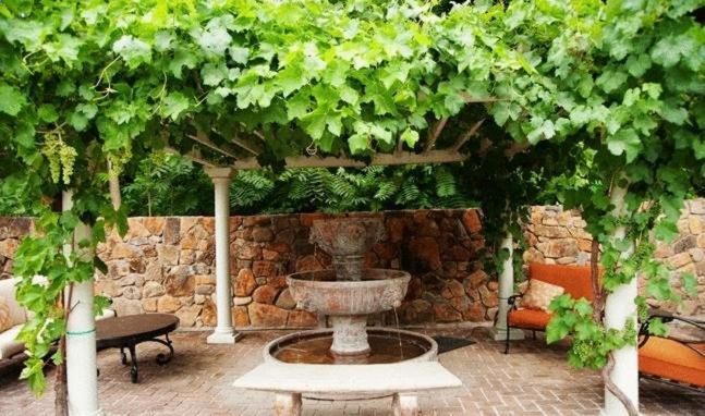 Spanish Villa Inn Сент-Хелина Экстерьер фото